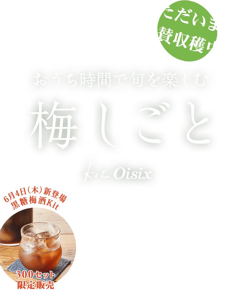 梅しごと｜Ｏｉｓｉｘ（おいしっくす）