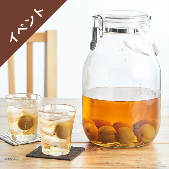 Kit]梅500g！手もぎ梅で作る梅酒(梅・砂糖)|有機野菜 通販 Ｏｉｓｉｘ(おいしっくす)