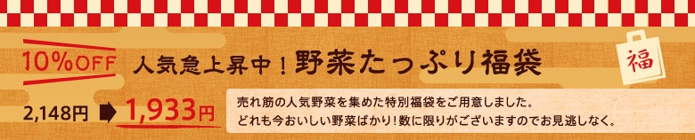 【15％OFF】人気急上昇中！野菜たっぷり福袋