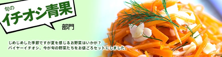 感謝の大冷凍セール（6/18更新）｜有機野菜などの安全食材宅配