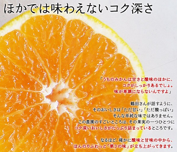 鶴田さんの柑橘セット ｜ Ｏｉｓｉｘ産直おとりよせ市場