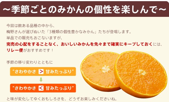 熊本県から梅野さんのみかんリレー便 早生 約3ｋｇを産地直送 ｏｉｓｉｘ おいしっくす 直送便