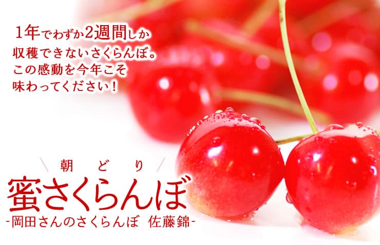 岡田さんの朝どり蜜さくらんぼ ｜ Ｏｉｓｉｘ産直おとりよせ市場