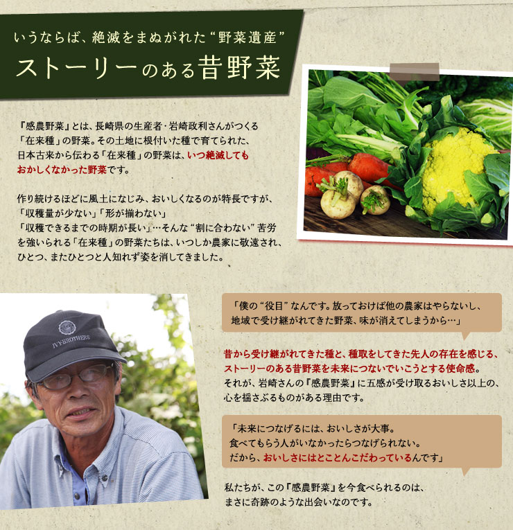 感農野菜 冬 青菜の多様性 ｏｉｓｉｘ産直おとりよせ市場
