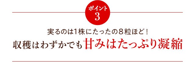 埼玉県産 彩のあまりん ｏｉｓｉｘ産直おとりよせ市場