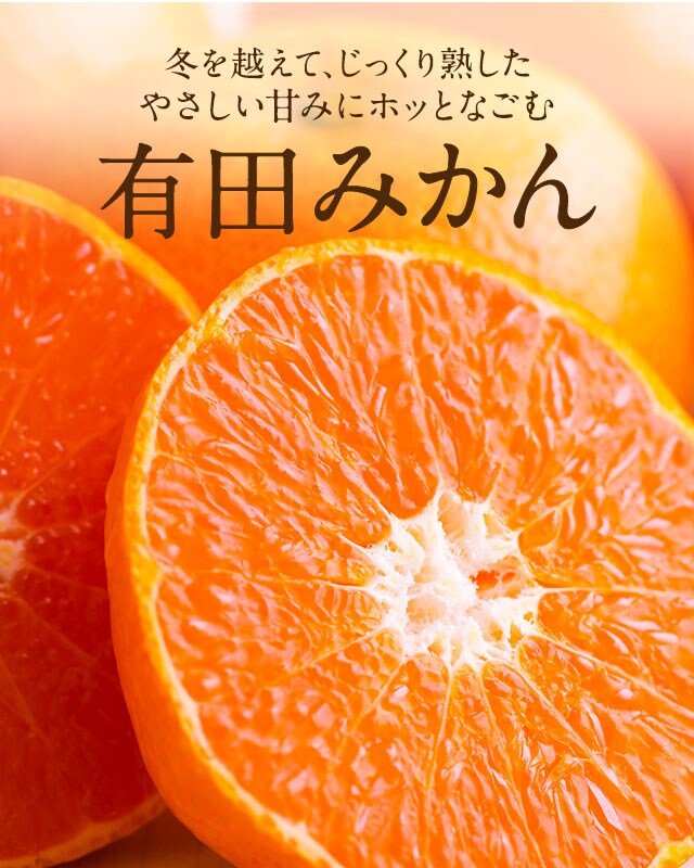 樹上で越冬させた皮のうすい完熟有田みかん｜ Ｏｉｓｉｘ産直おとりよせ市場