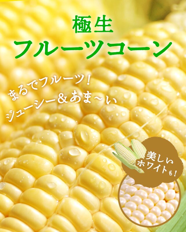 長崎県産 極生フルーツコーン ｏｉｓｉｘ産直おとりよせ市場