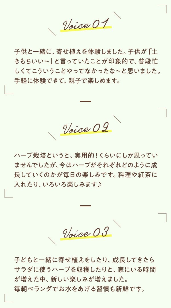 ハーブ苗寄せ植えセット ｏｉｓｉｘ産直おとりよせ市場