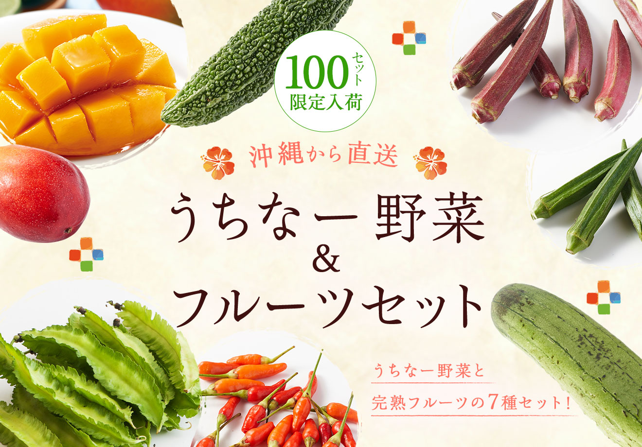 うちなー野菜＆フルーツセット｜ Ｏｉｓｉｘ産直おとりよせ市場