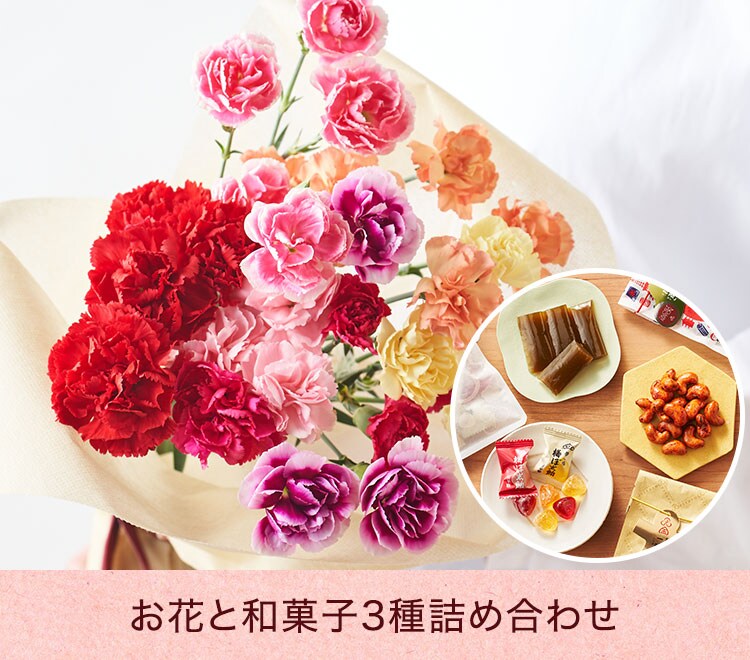 7色カーネーション＋お菓子詰め合わせ ｜ 2023年 Oisix母の日ギフト特集