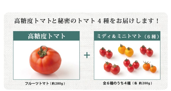 照喜治じいの高糖度トマト ｜ Ｏｉｓｉｘ産直おとりよせ市場