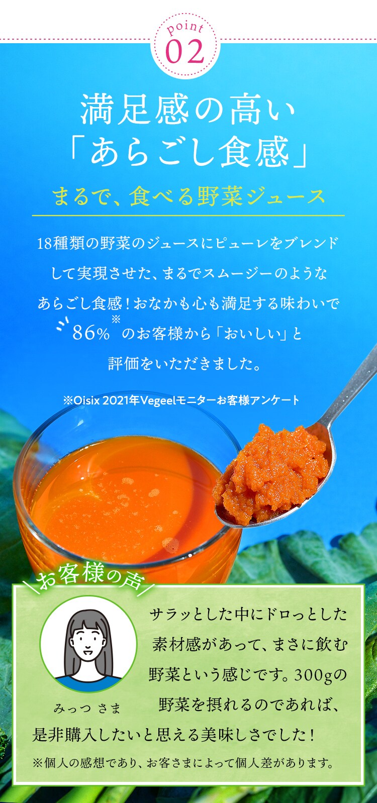 Vegeel ベジール 定期便 ｏｉｓｉｘの定期宅配サービス おいトク