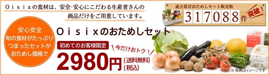 自家栽培 新鮮 野菜 新玉ねぎ コンパクト いっぱい 山口県発 大量入荷