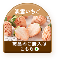 「淡雪いちご」ご購入はこちら