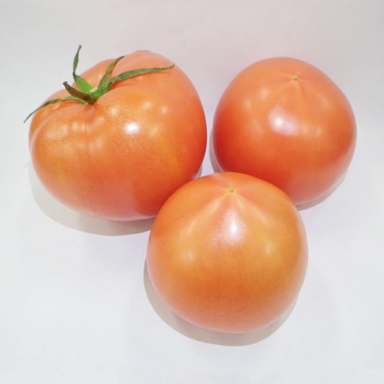 美しい紅色が自慢の トマト(400g 長崎県産 杉本さん他)|有機野菜 通販 