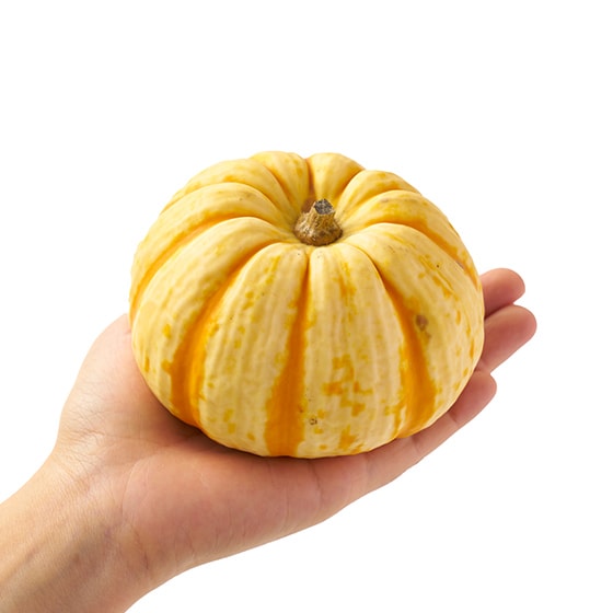 小さくてかわいい プッチーニかぼちゃ 北海道産 大崎さん他 有機野菜 通販 ｏｉｓｉｘ おいしっくす