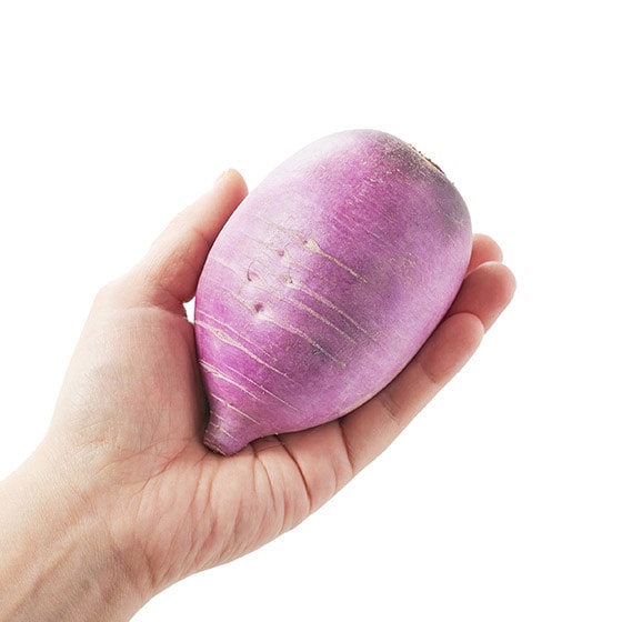 三重県名張市赤目産 美しい紫色☆『紫大根』６本 - 野菜