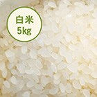 2020年新米予約】山形県ひとめぼれ白米5kg 12回|有機野菜 通販 Ｏｉｓｉｘ(おいしっくす)