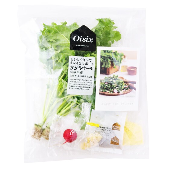 Kit たっぷりケールのチーズナッツサラダ 有機野菜 通販 ｏｉｓｉｘ おいしっくす