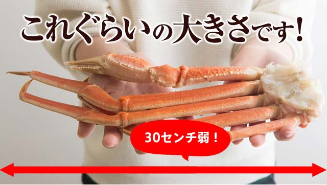 2大蟹食べ比べセット ｜ Ｏｉｓｉｘ産直おとりよせ市場
